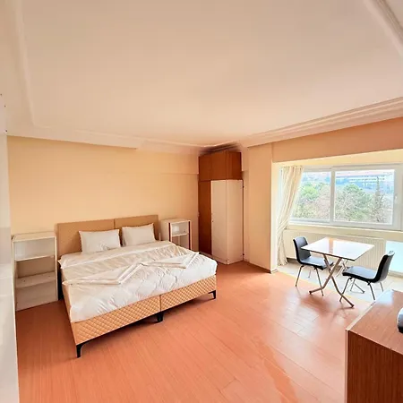 Halic 4*